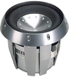 Rockford Fosgate T210D2 10 Subwoofer