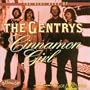 Cinnamon Girl: Very Best of
