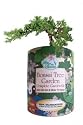 Gifts That Bloom ~ Bonsai Tree Garden