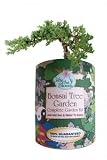Gifts That Bloom ~ Bonsai Tree Garden