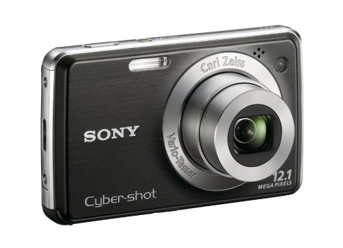 Sony Cybershot DSC-W220 12.1MP Digital Camera 