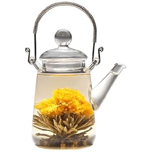 Tea Beyond Gtp2001-s Heat Resistant Glass Teapot Solo