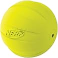 Nerf Dog Squeak Rubbber Ball Dog Toy, Medium/Large, Green