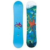 Roxy Girl Snowboard NEW 2008