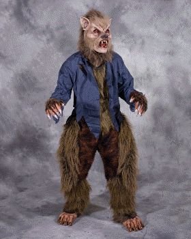 Complete She-Werewolf (Brown) Adult Halloween Costume Set