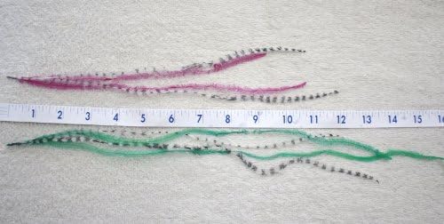 3 packages of Grizzly Feathers 10-15 Inches Long. 4 Real Feathers with Applicator and Clips This Is for 3 Packages Total. You Will Receive 12 Feathers Total Plus Applicators and Beads. Multiple Colored Long Skinny Feathers with Black/white Grizzly Hair Extensions in Each Package. Choose Your Color.