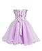 Fashion Plaza Strapless Homecoming Dress Short D0147