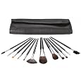 13 Piece Brush Set With Case