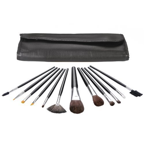 13 Piece Brush Set With Case