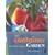 The Edible Container Garden: Fresh Food from Tiny Spaces