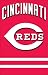 Cincinnati Reds Applique Banner Flag