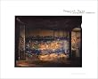 Unquiet Run: A Photographic Excavation