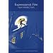 Expressionist Film -- New Perspectives (Studies in German Literature Linguistics and Culture)