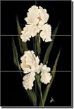 "White Iris II" by Carolyn Cook - Ceramic Tile Mural 12.75" x 8.5" Kitchen Shower Backsplash