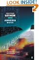 Amnesia Moon