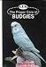 The Proper Care of Budgies