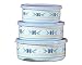 Pfaltzgraff Summer Breeze 6-Piece Enamel on Steel Bowl Set