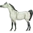 Arabian - Dapple Grey&nbsp;