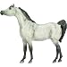 Arabian - Dapple Grey
