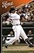 Detroit Tigers- Ordonez Poster Print, 22x34