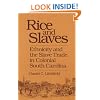 Rice and Slaves: Ethnicity and the Slave Trade in Colonial South Carolina (Blacks in the New World)