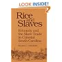 Rice and Slaves: Ethnicity and the Slave Trade in Colonial South Carolina (Blacks in the New World)