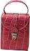 Kitchen & Housewares : The Aurora Jewelry Travel Case in Hot Pink