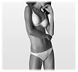 Lily of France Women's Value In Style Microfiber Seamless Lightly Lined Underwire with Soft Stretch Pad #7501534