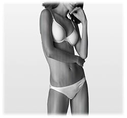 Lily of France Women's Value In Style Microfiber Seamless Lightly Lined Underwire with Soft Stretch Pad #7501534