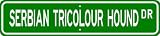 Serbian Tricolour Hound STREET SIGN ~ High Quality Aluminum ~ Dog Lover