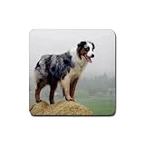 Australian Shepherd Rubber Square Coaster (4 pack)