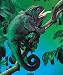 Folkmanis Chameleon Puppet