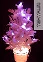 Tektrum 23" White Feather Color Changing Fiber Optic Lights Tree With Pink LEDs For Christmas/Holiday/Party