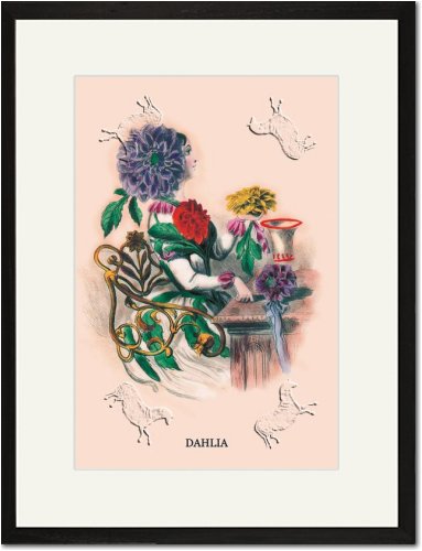 Black Framed Matted Print 17x23 - Dahlia