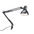 Incandescent 34 Reach Swing Arm Clamp-On Lamp, Black