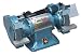 Palmgren 82082 8-Inch 3/4HP 220/380v Grinder w/Dust Collection