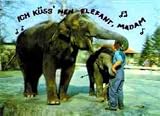 3D Lenticular POSTCARD-ELEPHANTS