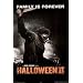 (24x36) Halloween II Movie (Rain) Poster Print