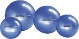 Original Pezzi-Gymnastikball® ø 65 cm