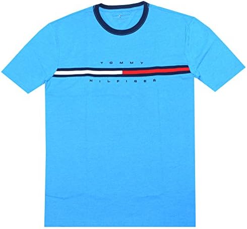 Tommy Hilfiger Men Classic Fit Big Logo T-Shirt (XS, Azure blue)