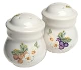 Pfaltzgraff Orchard Salt and Pepper Set