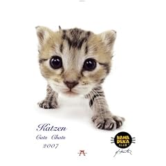 Katzen, Hanadeka 2007 Kalender.