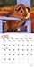 Guinea Pigs 2015 Square 12x12 (Multilingual Edition)