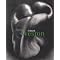 Edward Weston Books