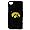 Iowa Hawkeyes