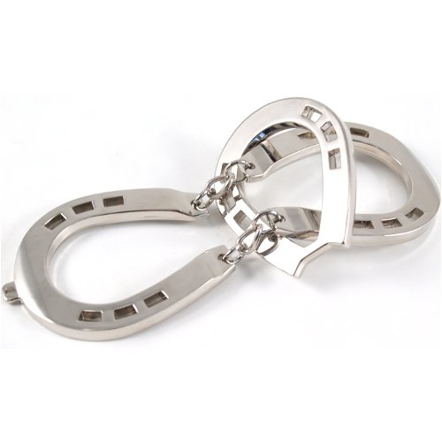 Hanayama Metal Horseshoe Cast Puzzle Level 2