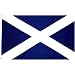 Scotland St Andrews CROSS Flag: 3x5ft Poly