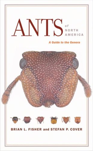 North America