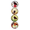 iPop Amy Ruppel Owls 4 Pack Clicks Magnet Set