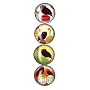 iPop Amy Ruppel Owls 4 Pack Clicks Magnet Set